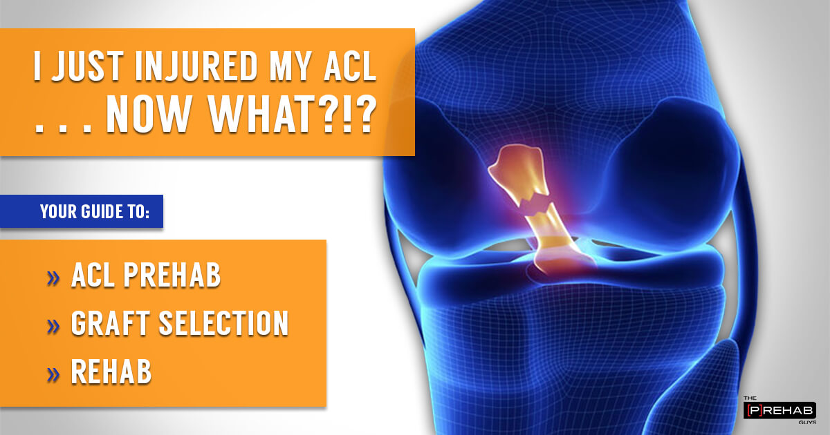 I Just Injured My ACL, Now What? Your Guide To ACL Graft Options And ...