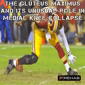gluteus maximus and medial knee collapse knee prehab 