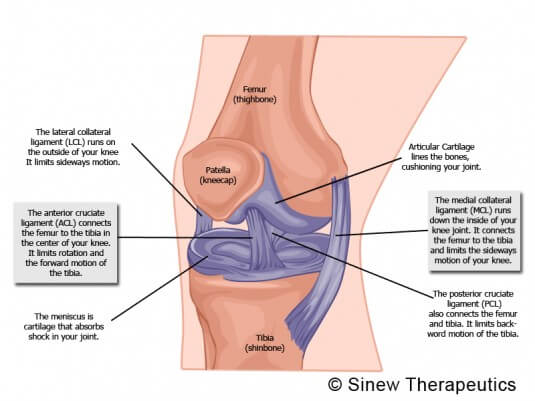 Medial Collateral Ligament Sprain: Rehab Exercises