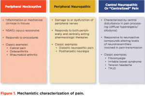 Pain Science types of pain the prehab guys