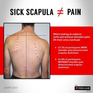 Does sick scapula equal pain