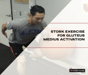stork exercise gluteus medius activation bridge exercises