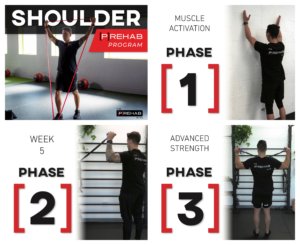 shoulder program the prehab guys improve scapula mobility