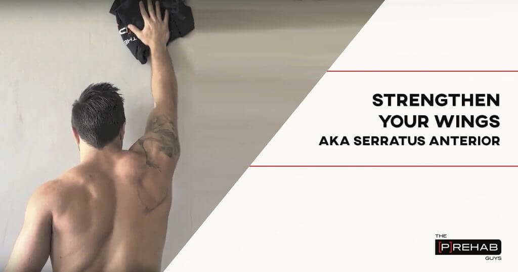 Serratus Anterior Strengthening Exercises The Prehab Guys