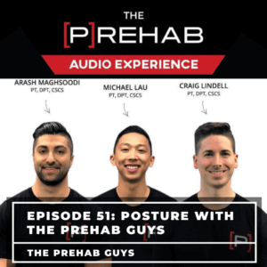 posture with the prehab guys podcast