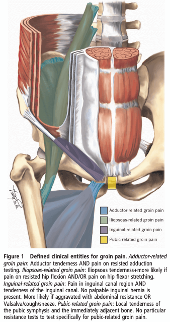 how to manage a hip flexor strain the prehab guys