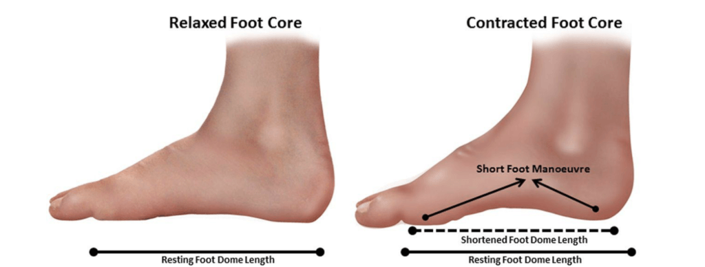 short foot exercise the prehab guys