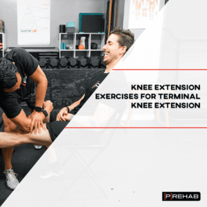 knee extension machine exercises prehab guys
