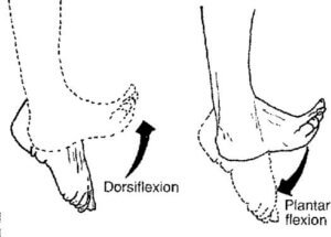 Flat Feet ankle dorsiflexion