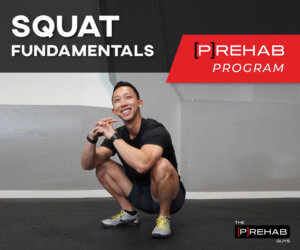 Squat fundamentals program the prehab guys