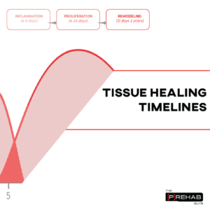 tissue healing prehab guys 