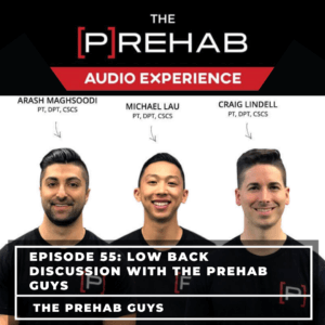 Low Back Discussion With The [P]Rehab Guys - Image