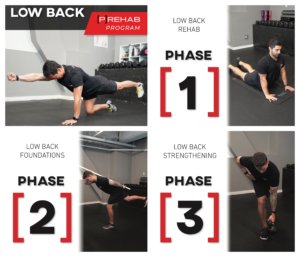 low back program the prehab guys atomic exercise habits