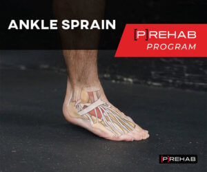 ankle sprain prehab is pain a prediction the prehab guys