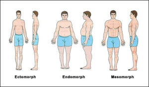 somatotype body types running secrets prehab guys