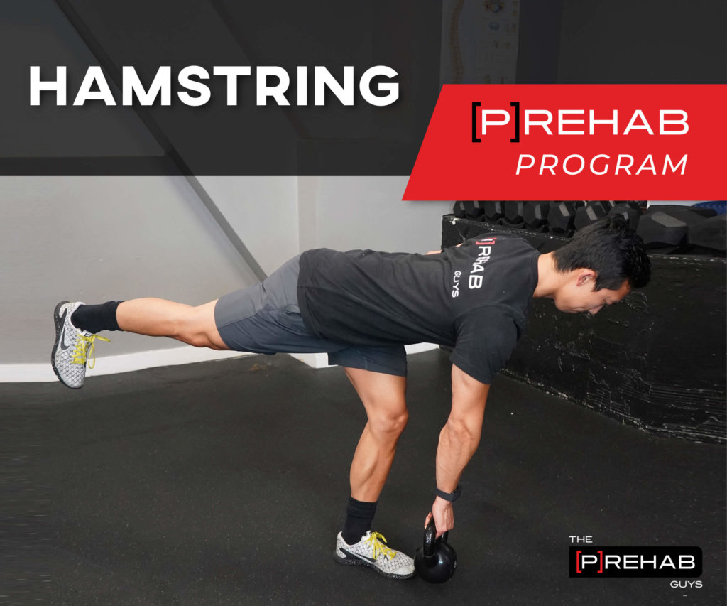 hamstring program the prehab guys