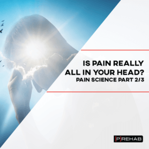 is pain all in your head the prehab guys