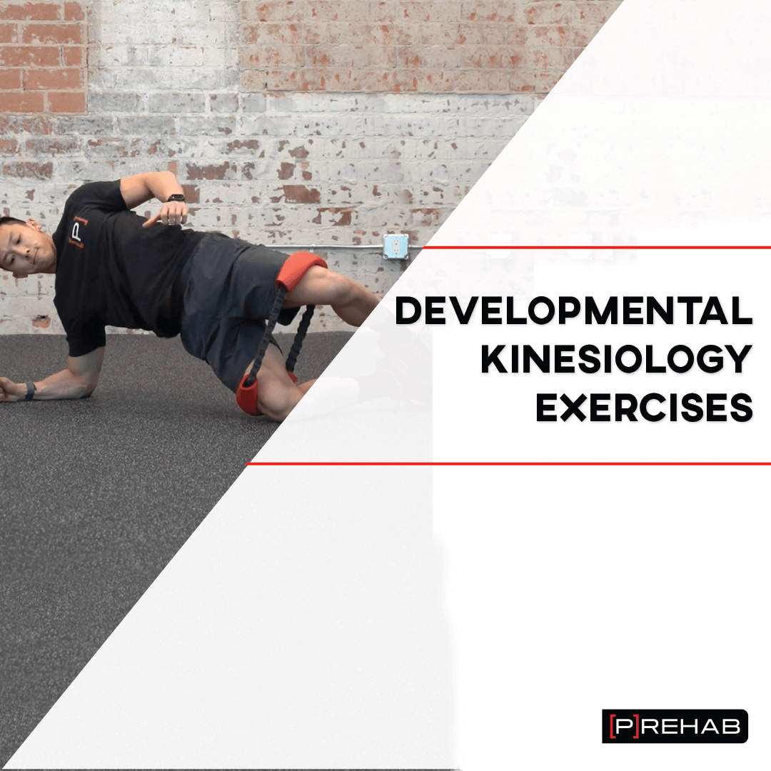 developmental kinesiology exercises the prehab guys