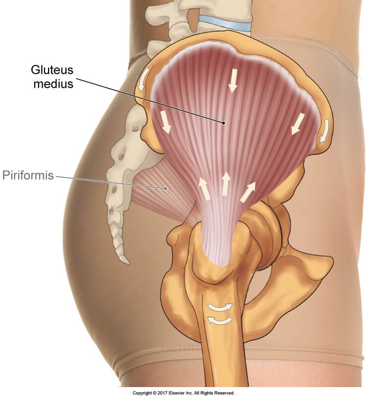 The best exercises to strengthen the Glute Medius - Recover Athletics