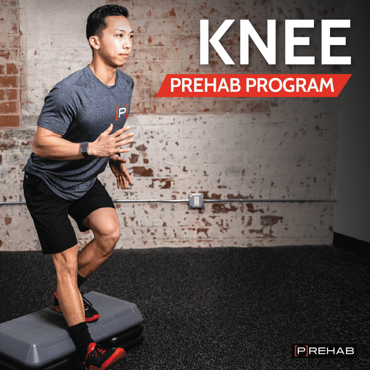 The KNEE [P]REHAB PROGRAM