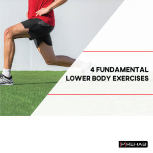 Best Fundamental Lower Body Exercises the prehab guys how to begin strength training