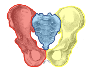 hip innominate sacrum hip alignment the prehab guys