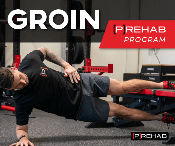 groin prehab program advanced groin training the prehab guys