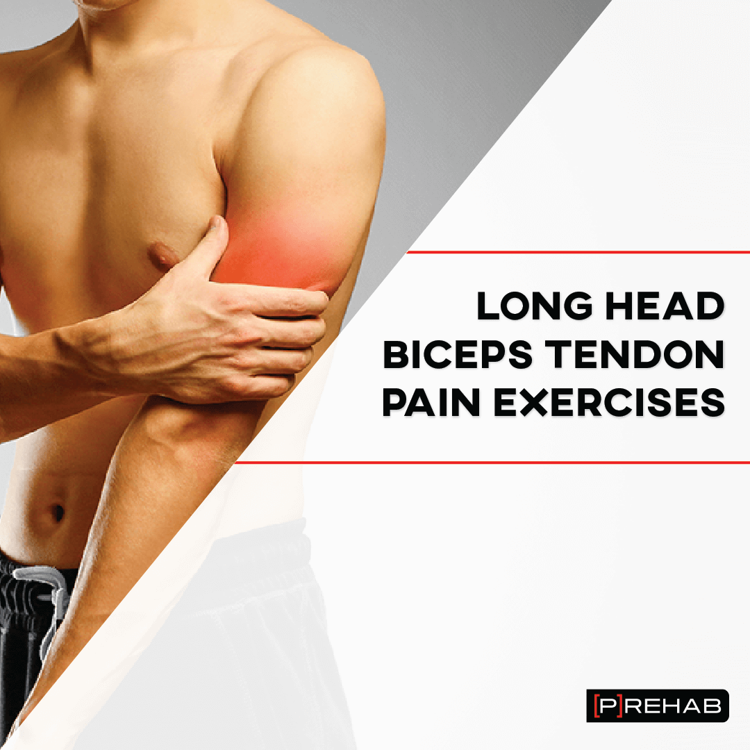 biceps tendon pain exercises the prehab guys