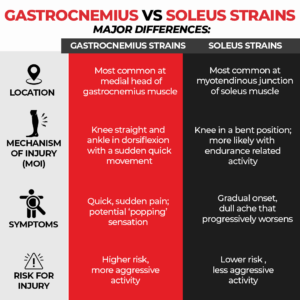 differences between calf strains the prehab guys