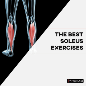 the best soleus exercises prehab guys the prehab guys