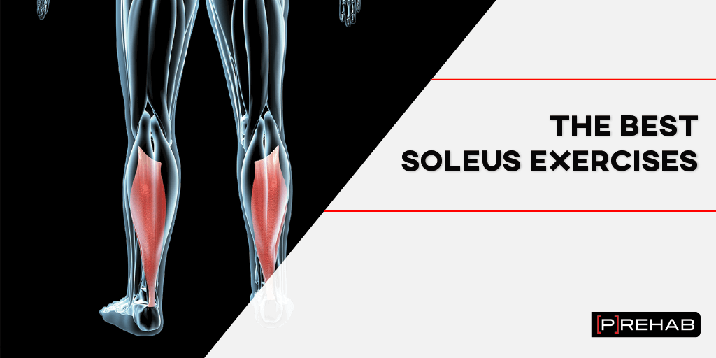 The Best Soleus Exercises Main Concepts [𝗣]𝗥𝗲𝗵𝗮𝗯