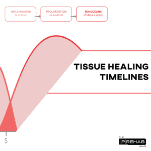 tissue healing biologics prehab guys