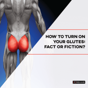 turn on glutes glute amensia single leg strengthening exercises the prehab guys