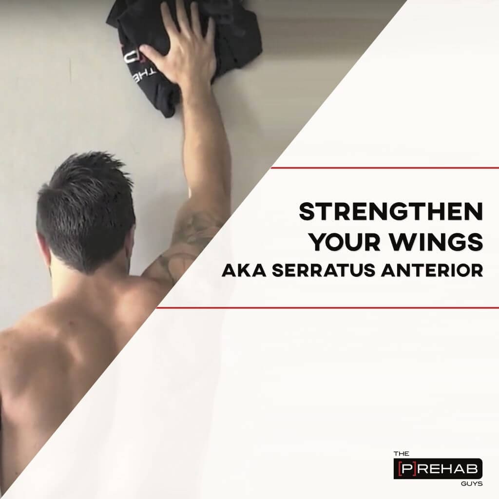 Learn The Best Serratus Anterior Exercises - [P]rehab