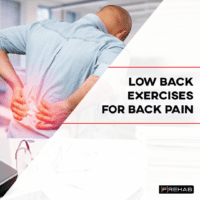 Low Back Exercises For Back Pain - [P]rehab