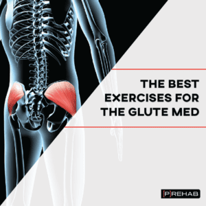 glute med 