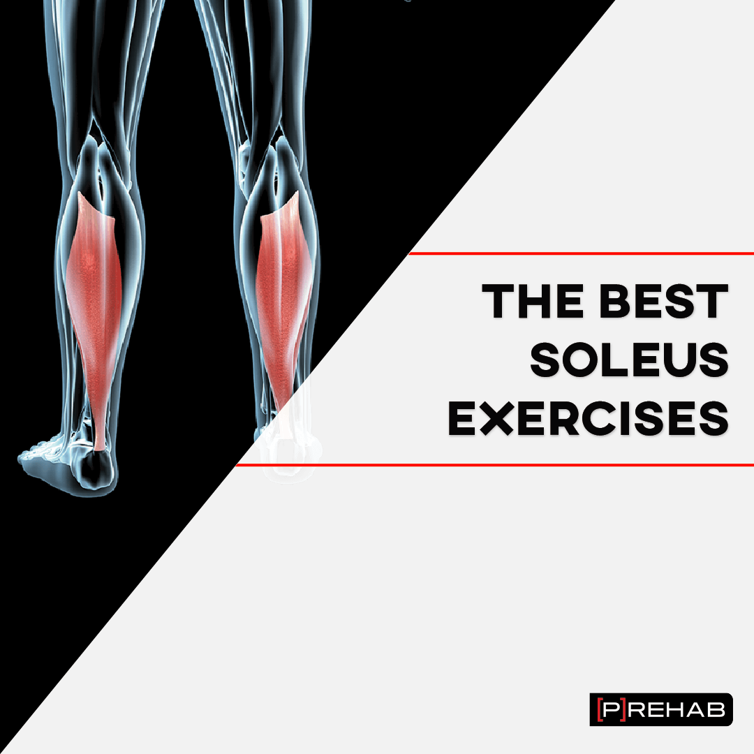 The Best Soleus Exercises: Main Concepts - [P]rehab