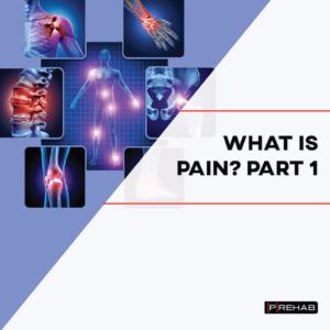 pain science the prehab guys
