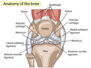 assess own knee pain prehab guys