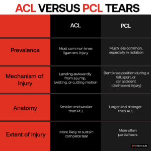 ACL versus PCL Injuries the prehab guys