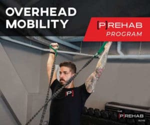 overhead mobility program the prehab guys reach behind your back