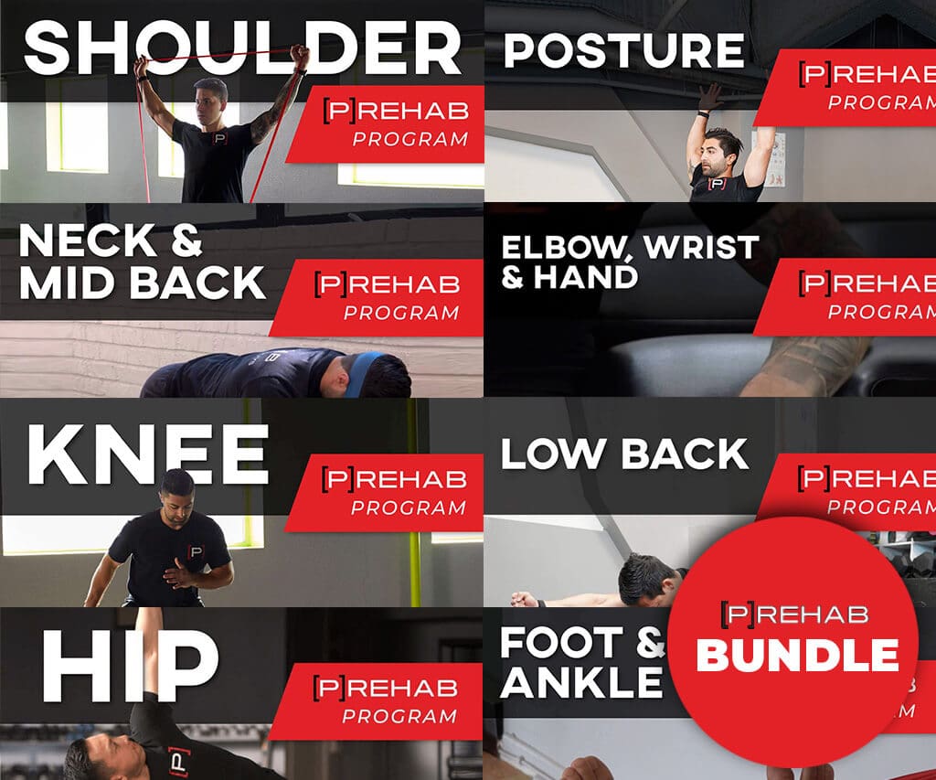 Full Body [P]Rehab (Copy)