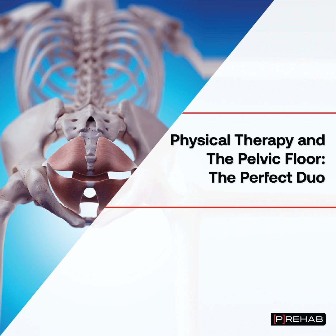 pelvic floor post partum exercises the prehab guys