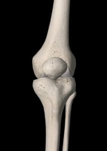 knee joint prehab 