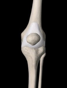 knee plica prehab