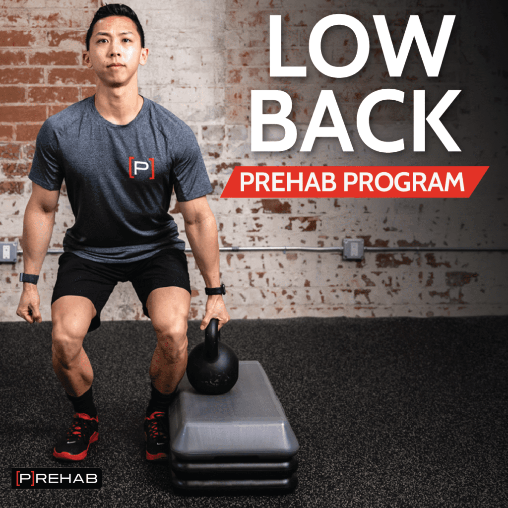 low back prehab program deadlift warm up the prehab guys