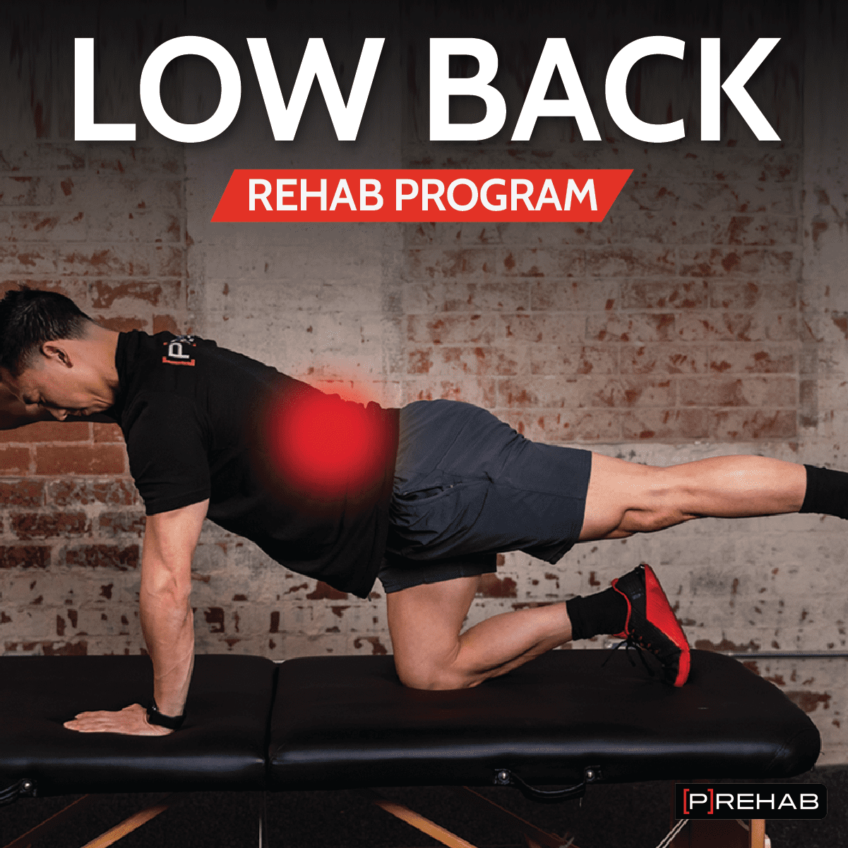 low back rehab program prehab guys exercises for disc herniations