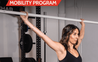 overhead shoulder mobility the prehab guys