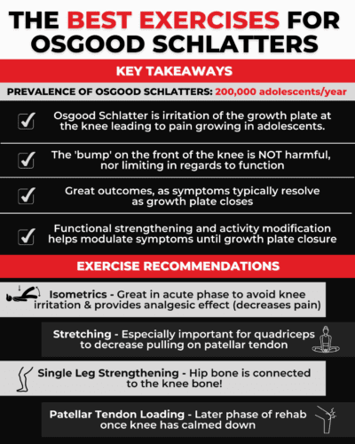 best exercises for osgood schlatters the prehab guys knee pain
