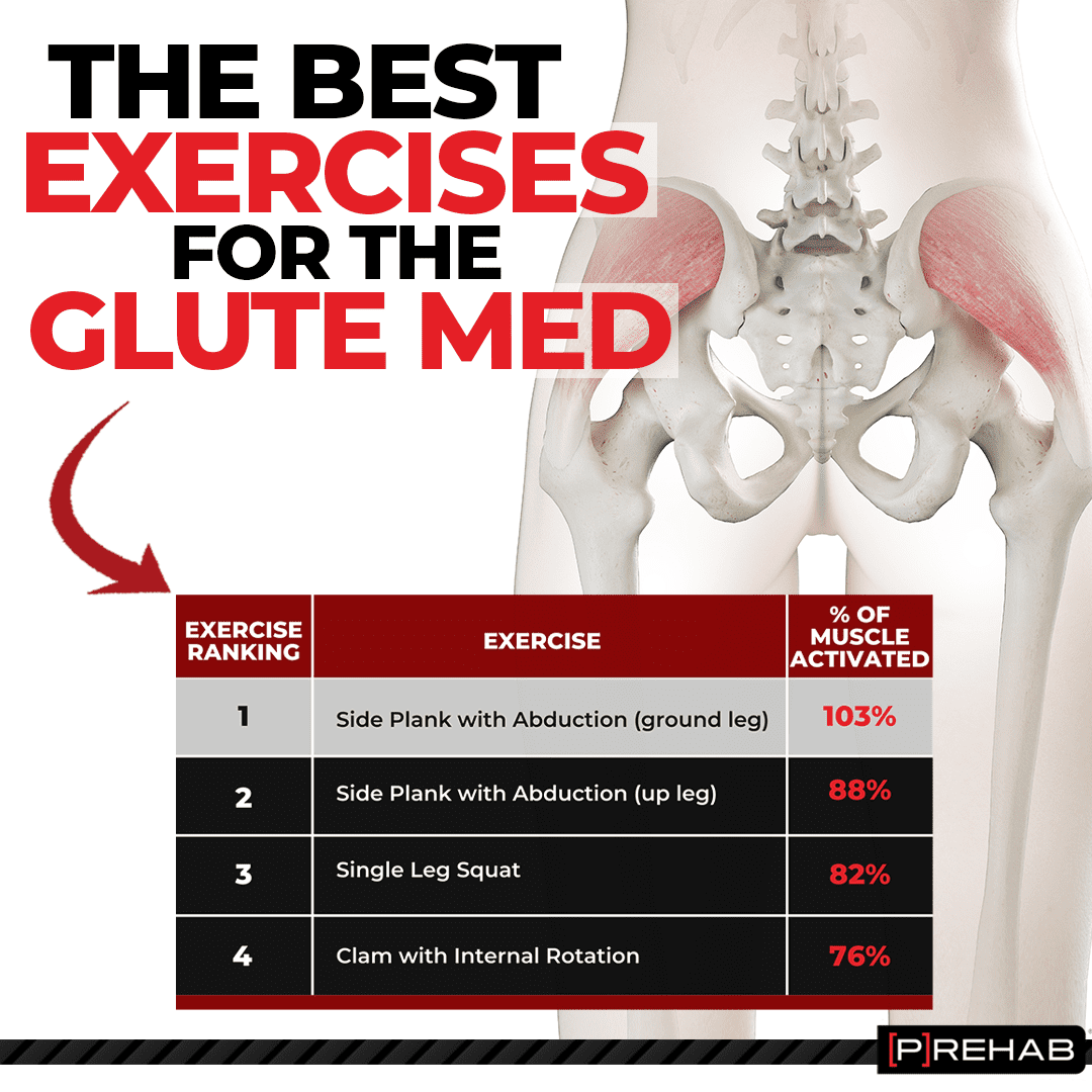Most Effective Gluteus Exercises Explained